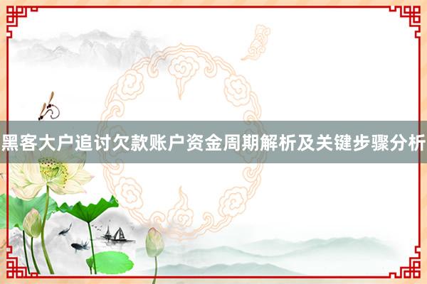 黑客大户追讨欠款账户资金周期解析及关键步骤分析