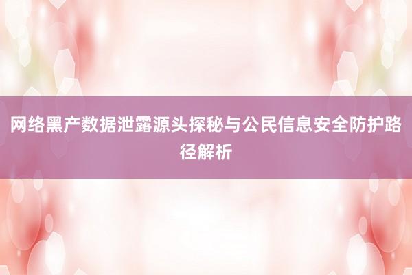 网络黑产数据泄露源头探秘与公民信息安全防护路径解析
