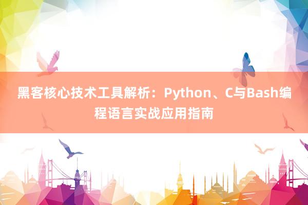 黑客核心技术工具解析：Python、C与Bash编程语言实战应用指南